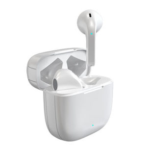 FXS05 Bluetooth Earphone